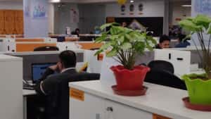 Invedus Outsourcing